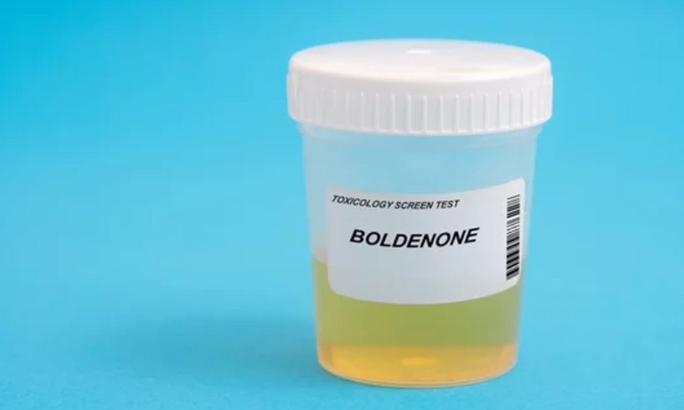 Understanding Boldenone: Usage, Benefits, and Risks Explained