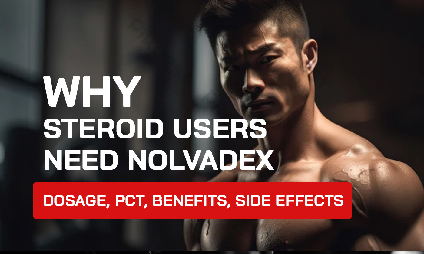 Why Steroid Users Need Nolvadex + Top 10 Questions About Tamoxifen: Uses, Benefits, and Side Effects Explained