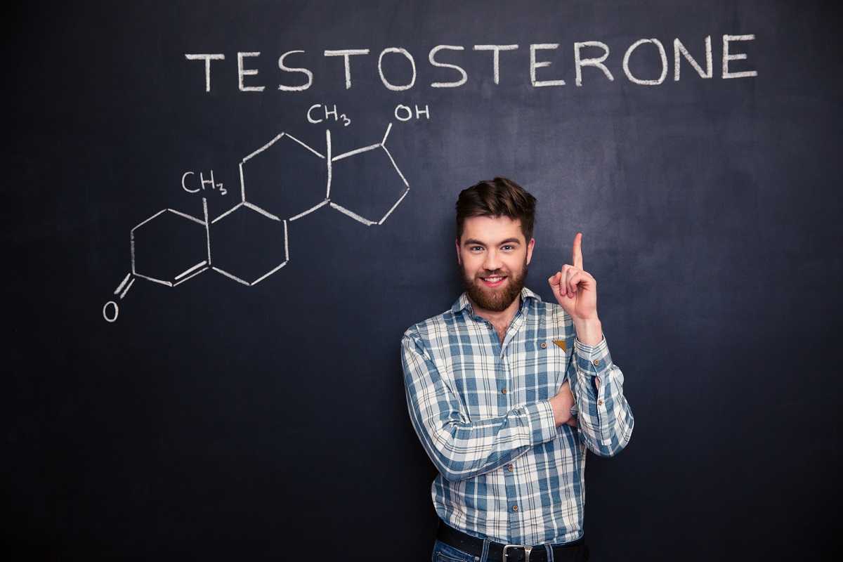 What is Testosterone