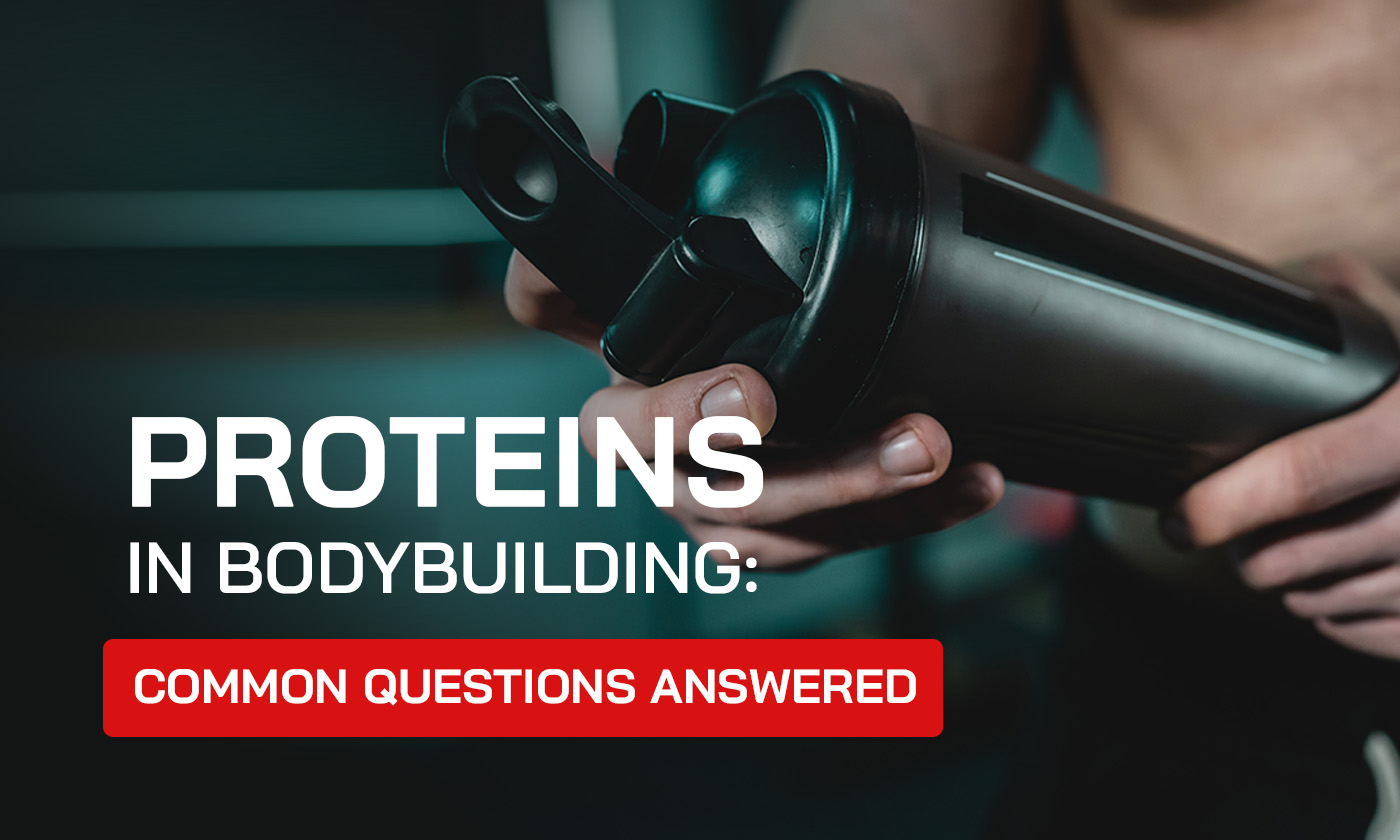 Protein in Bodybuilding: Common Questions Answered