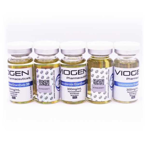 testosterone_enanthate_300_viogen_pharmaceuticals_300_anabolic_point_com-1-scaled.jpg